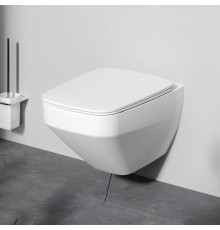 Унитаз подвесной AM.PM Inspire V2.0 FlashClean с сиденьем микролифт белый матовый C50A1700MWSC