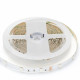 Лента светодиодная Apeyron Electrics Эконом SMD 5050 LSE-159
