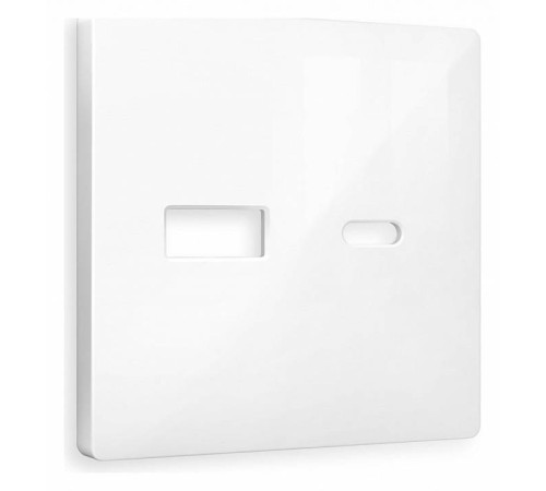 Накладка для розетки type A и C Ambrella Volt Quant AP1110