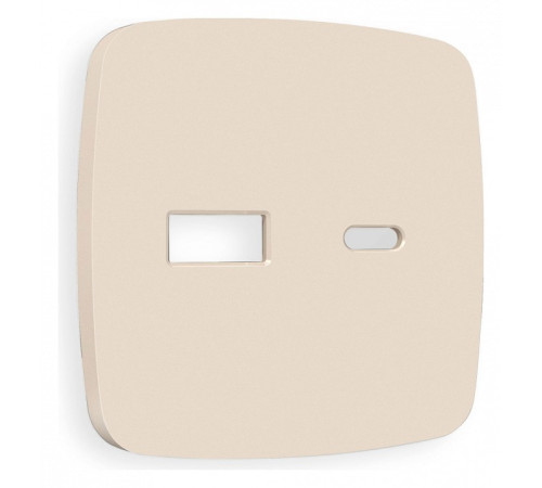 Накладка для розетки type A и C Ambrella Volt Quant OP3310