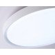 Накладной светильник Ambrella Light FZ FZ1246