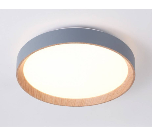 Накладной светильник Ambrella Light FZ FZ1320