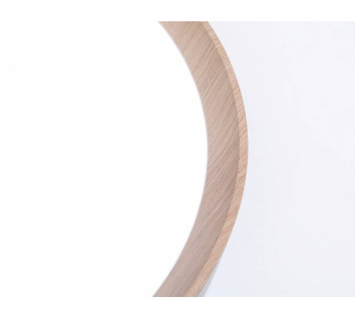 Накладной светильник Ambrella Light FZ FZ1320