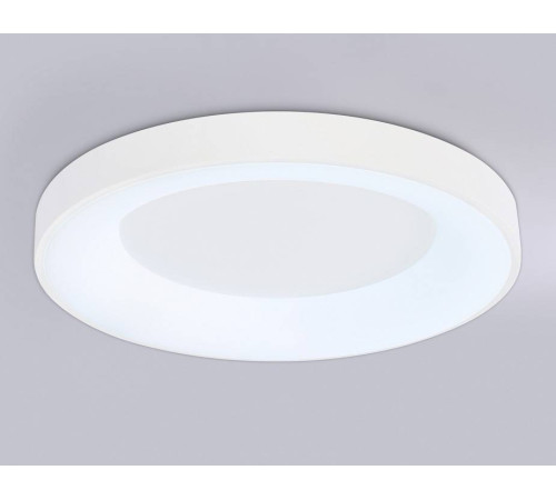 Накладной светильник Ambrella Light FZ FZ1401