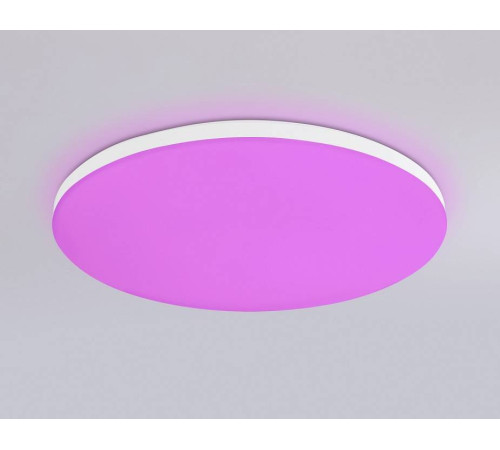 Накладной светильник Ambrella Light FZ FZ2001