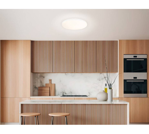 Накладной светильник Ambrella Light FZ FZ2001