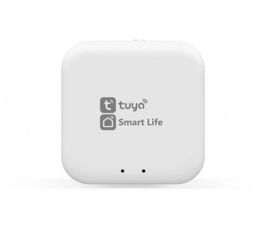 Конвертер Wi-Fi для смартфонов и планшетов Ambrella Light GL GL1920