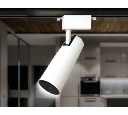 Светильник на штанге Ambrella Light GL GL5852