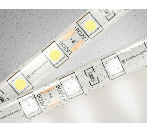 Лента светодиодная Ambrella Light GS GS2102