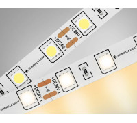 Лента светодиодная Ambrella Light GS GS4001