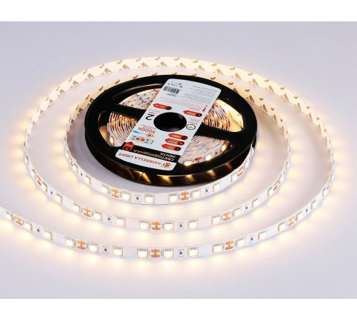 Лента светодиодная Ambrella Light GS GS4001
