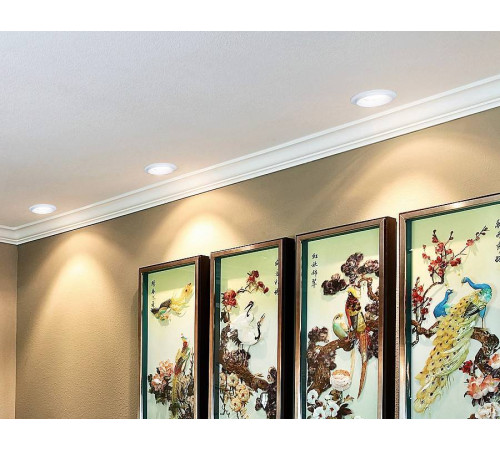 Встраиваемый светильник Ambrella Light TN TN160