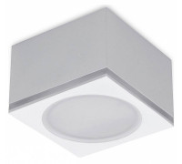 Накладной светильник Ambrella Light TN TN266