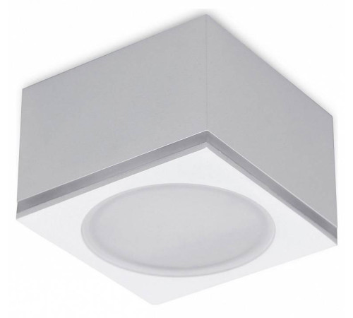 Накладной светильник Ambrella Light TN TN266