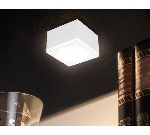 Накладной светильник Ambrella Light TN TN266