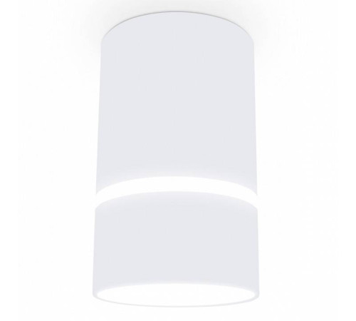 Накладной светильник Ambrella Light TN TN3411