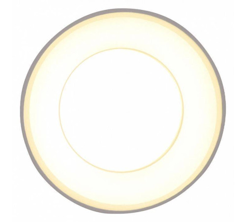 Накладной светильник Ambrella Light TN TN3411