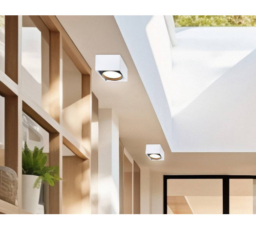 Накладной светильник Ambrella Light TN TN70865