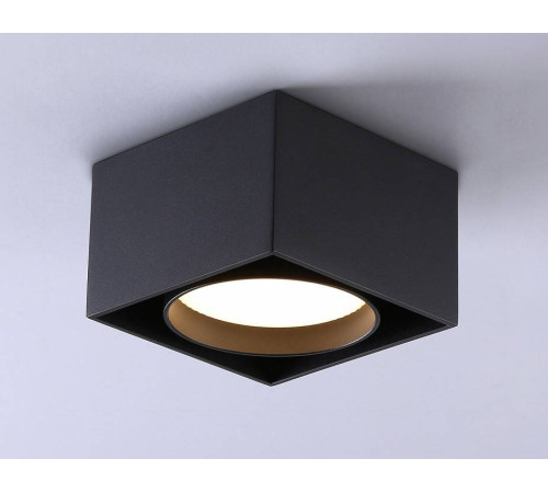 Накладной светильник Ambrella Light TN TN70866