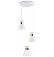 Подвесной светильник Ambrella Light TR TR8467