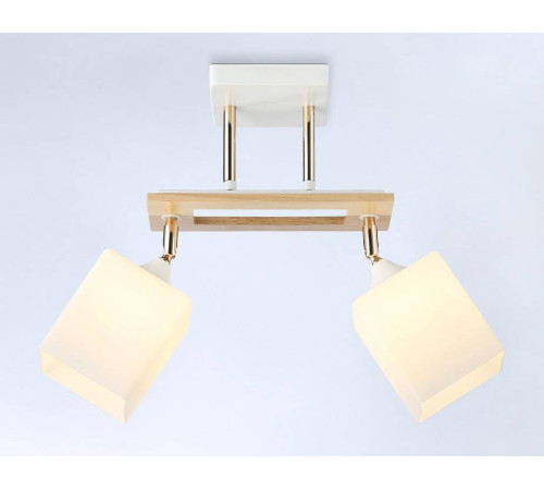 Светильник на штанге Ambrella Light TR TR9501