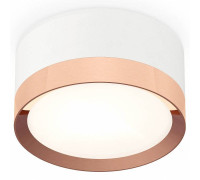 Накладной светильник Ambrella Light XS XS8101006