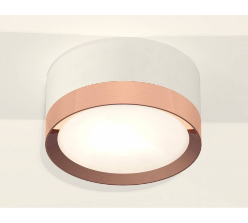 Накладной светильник Ambrella Light XS XS8101006