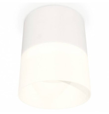 Накладной светильник Ambrella Light XS XS8110002