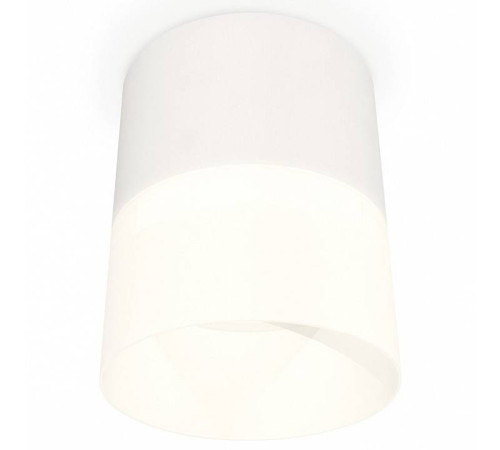 Накладной светильник Ambrella Light XS XS8110002