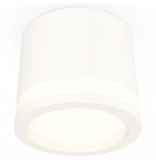 Накладной светильник Ambrella Light XS XS8110003