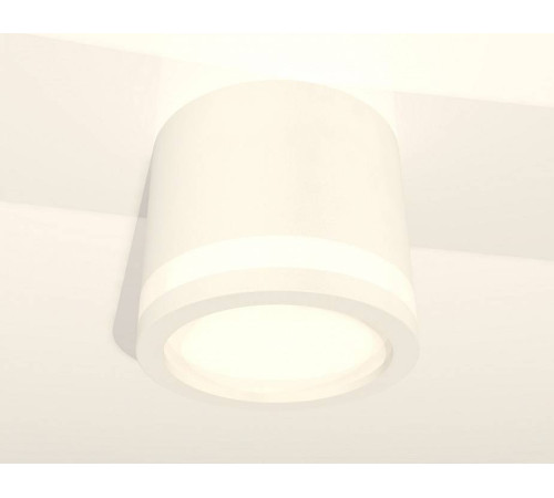 Накладной светильник Ambrella Light XS XS8110003