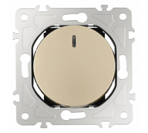 Выключатель одноклавишный с подсветкой без рамки Arte Milano 202 202.31-1.shampan