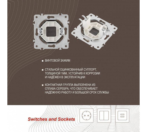 Заглушка для поста, без рамки Arte Milano am-202 202.50-1.shampan