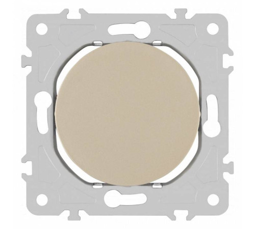 Заглушка для поста, без рамки Arte Milano am-202 202.50-1.shampan