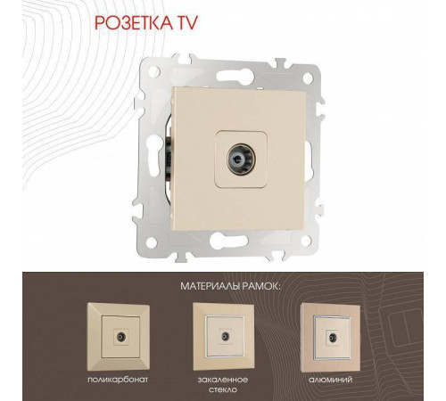 ТВ-розетка без рамки Arte Milano am-203 203.43-1.shampan