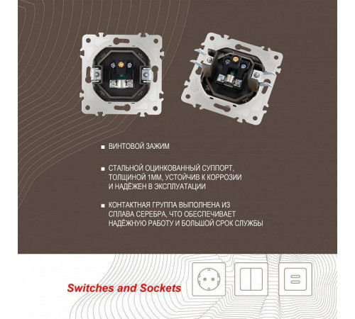 ТВ-розетка без рамки Arte Milano am-203 203.43-1.shampan