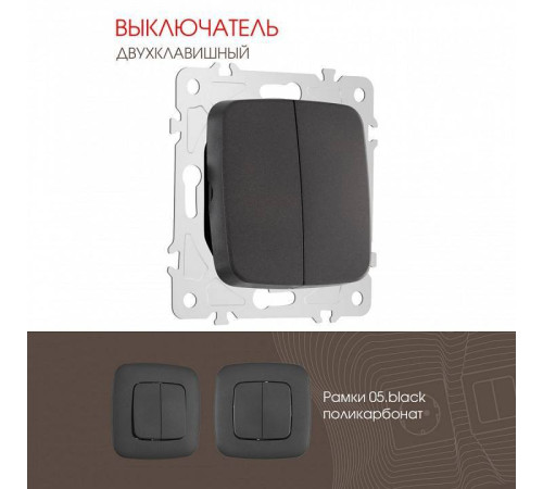 Выключатель двухклавишный без рамки Arte Milano 205 205.30-2.black