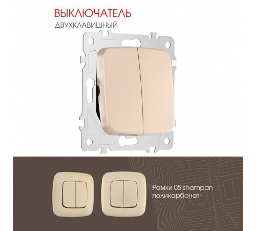 Выключатель двухклавишный без рамки Arte Milano 205 205.30-2.shampan