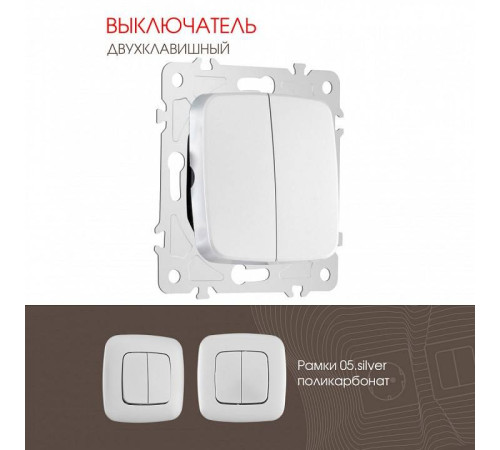 Выключатель двухклавишный без рамки Arte Milano 205 205.30-2.silver