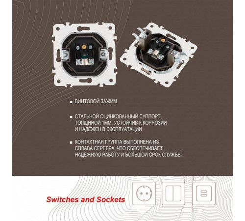 ТВ-розетка без рамки Arte Milano am-205 205.43-1.shampan