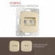 Розетка двойная RJ-11 и Ethernet RJ-45, без рамки Arte Milano am-205 205.44-1.shampan