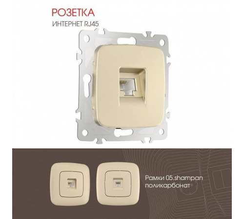 Розетка Ethernet RJ-45 без рамки Arte Milano am-205 205.45-1.shampan