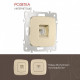 Розетка Ethernet RJ-45 без рамки Arte Milano am-205 205.45-1.shampan