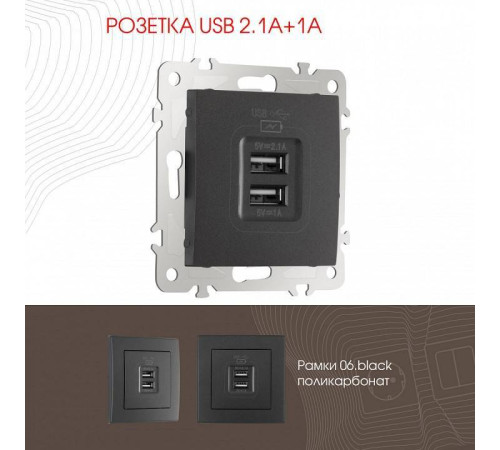 Розетка USB, без рамки Arte Milano am-206 206.46-1.black