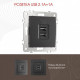 Розетка USB, без рамки Arte Milano am-206 206.46-1.black