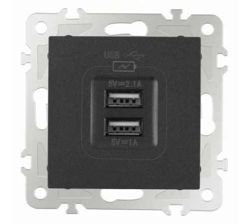 Розетка USB, без рамки Arte Milano am-206 206.46-1.black