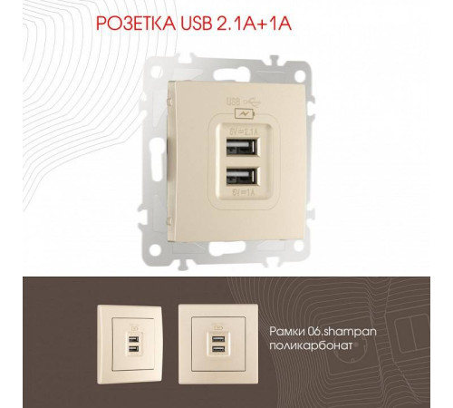 Розетка USB, без рамки Arte Milano am-206 206.46-1.shampan
