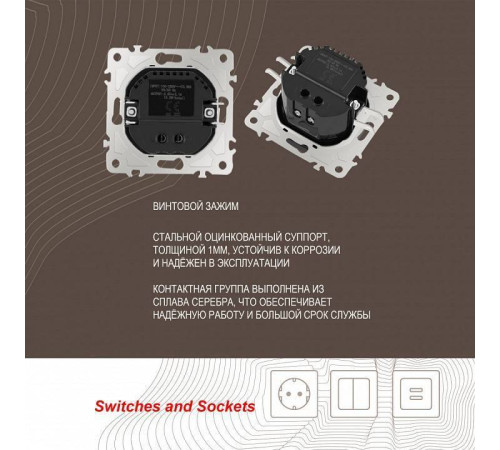 Розетка USB, без рамки Arte Milano am-206 206.46-1.shampan
