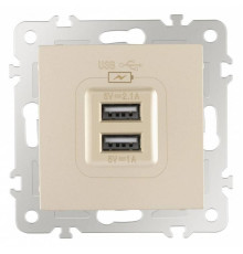 Розетка USB, без рамки Arte Milano am-206 206.46-1.shampan