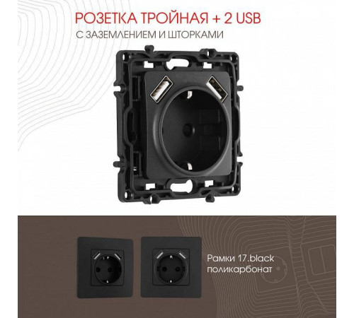 Розетка с заземлением и со шторкой и 2хUSB, без рамки Arte Milano am-217 217.47-1.black